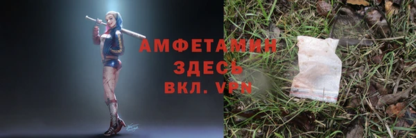 сатива Арсеньев