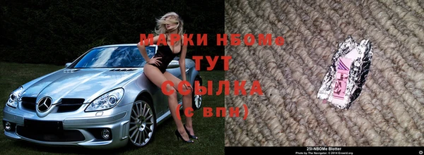 сатива Арсеньев