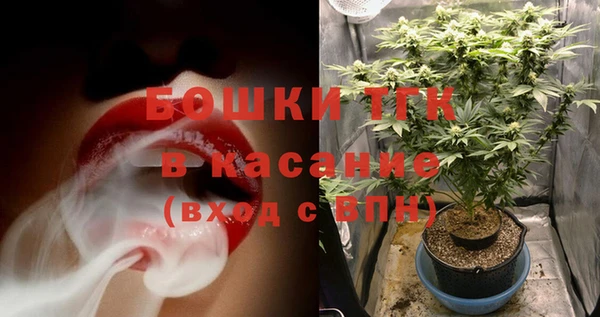 Альфа ПВП Аркадак