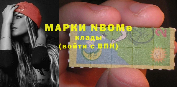 сатива Арсеньев
