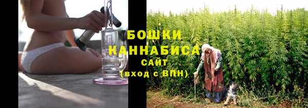 сатива Арсеньев