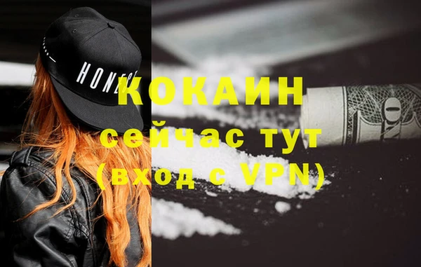 Альфа ПВП Аркадак