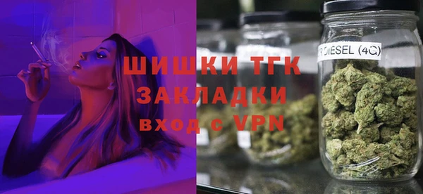 сатива Арсеньев